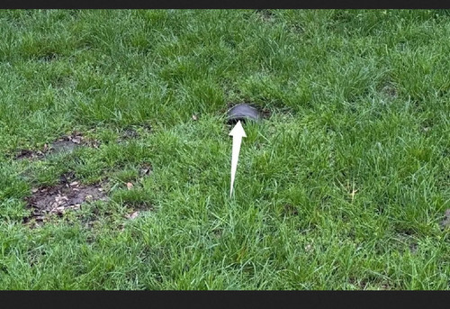 IMG 20260328 180344.jpg