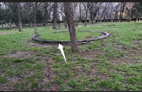 IMG 20260328 181306.jpg