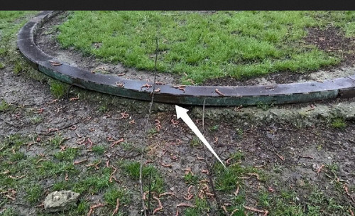 IMG 20260328 181320.jpg