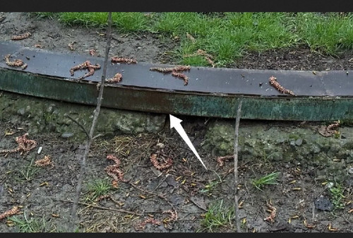 IMG 20260328 181258.jpg