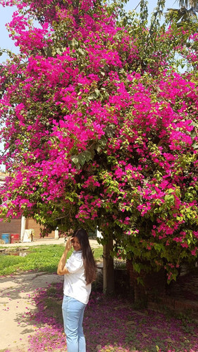 WhatsApp Image 2026 03 28 at 7.03.01 PM (1).jpg