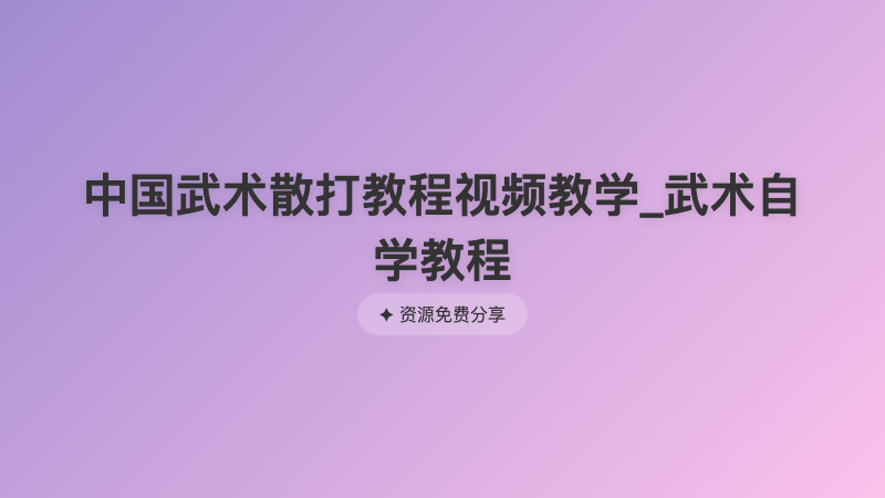 中国武术散打教程视频教学_武术自学教程
