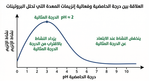 Gemini Generated Image 39ofi639ofi639of.png