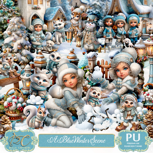 BC ABlueWinterScene.jpg