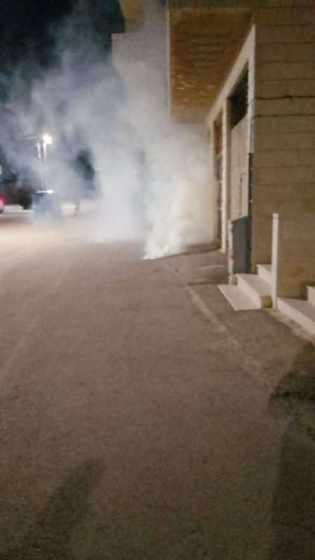 اندلاع مواجهات في بلدة "تقوع" جنوب شرق بيت لحم، والاحتلال يُطلق قنابل الغاز تجاه الشبان....