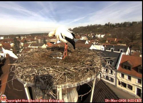 MWSnap084.jpg