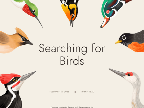 searchingforbirds visualcinnamon com 1024x768desktop 6e15e8.png