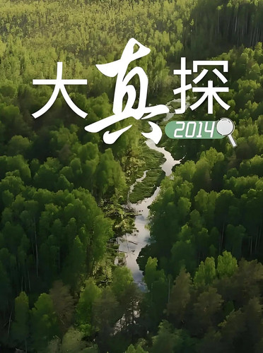 242 01 大真探.jpg