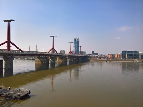 WP 20260305 11 15 06 Rich 124715