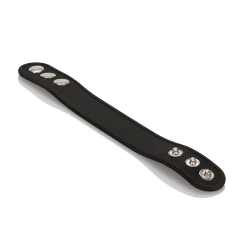 s l1600 2026 03 05T143432.511.webp