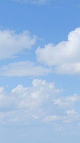 eb6f846efa66.jpg