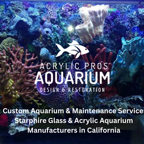 Custom Aquarium & Maintenance Services Starphire Glass & Acrylic Aquarium Manufacturers in Californi.png