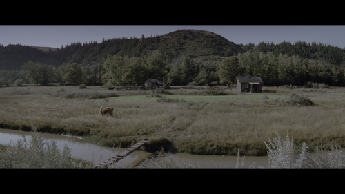 20260306 080118 498573.png