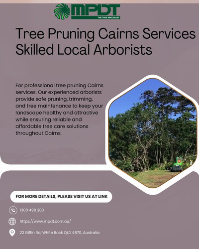 Tree Pruning Cairns Services Skilled Local Arborists.jpg
