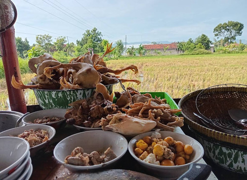 IMG A45CC99CFAE1 1.jpg