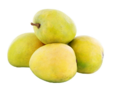 Mango frtuit.png