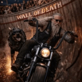 IMG 4631.gif