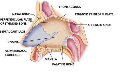 c58d012fadbb.jpg