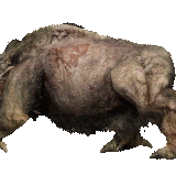 Раненый кабан 1.gif