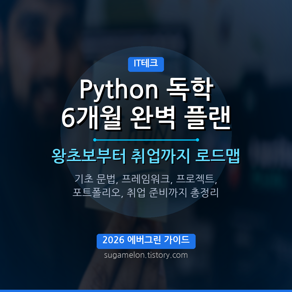 Python 독학 6개월 완벽 플랜 썸네일