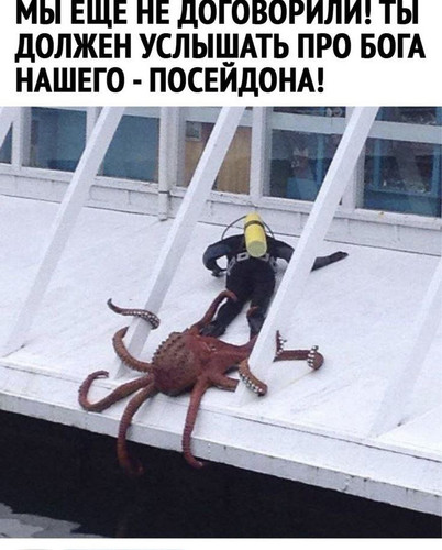 5213226326477706952.jpg