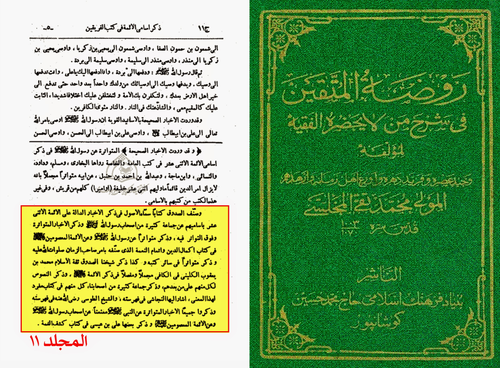 Rawdhatul Muttaqeen. Vol. 11, Pg 5