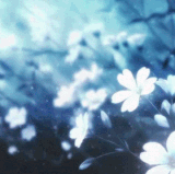 f90cabb54bd07921ea82e8c08d9944dd.gif