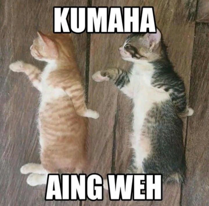 Dapatkan Juara Saat Ini