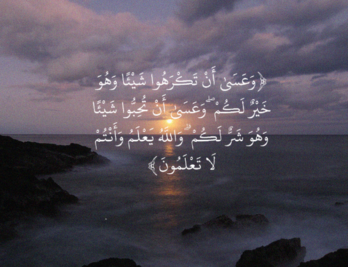 c35428b15275a669b62fe62b67b6f743.png