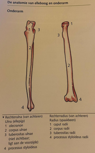 8250236bc027.jpg