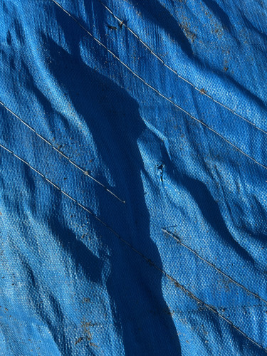 IMG 0435.jpg