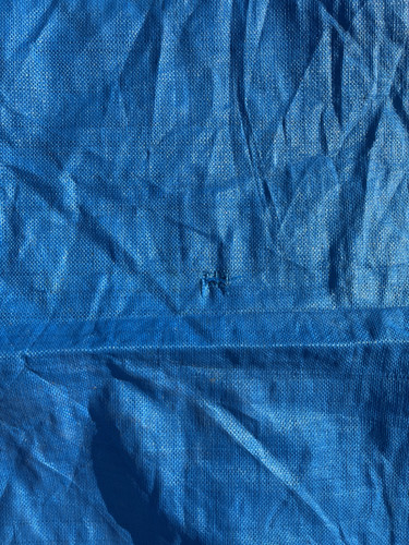 IMG 0445.jpg