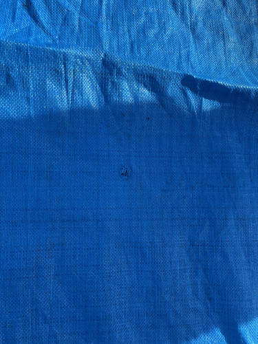 IMG 0447.jpg