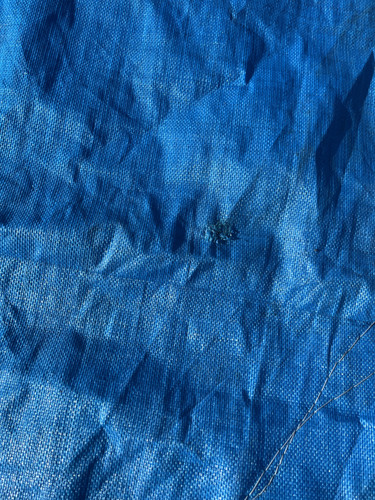 IMG 0444.jpg