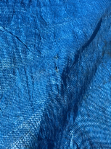 IMG 0432.jpg