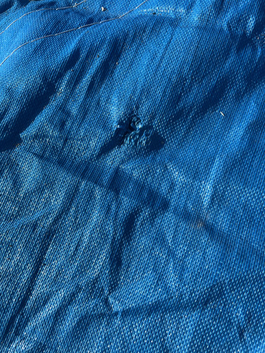 IMG 0434.jpg