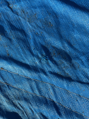 IMG 0436.jpg