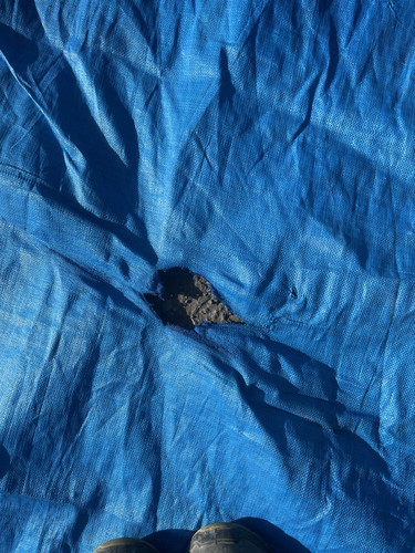 IMG 0437.jpg