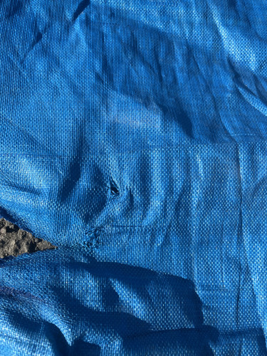 IMG 0440.jpg