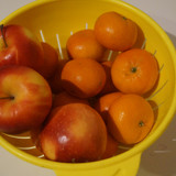 Elma Mandalin V280220260903 N24