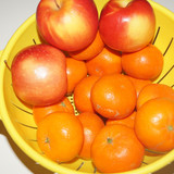 Elma Mandalin V270220260903 N8