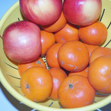 Elma Mandalin V270220260903 N4