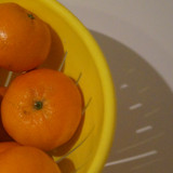 Elma Mandalin V270220260903 N17