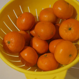 Elma Mandalin V280220260903 N28