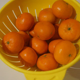 Elma Mandalin V280220260903 N29