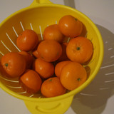 Elma Mandalin V270220260903 N16