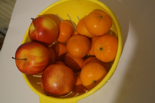 Elma Mandalin V270220260903 N10.jpg