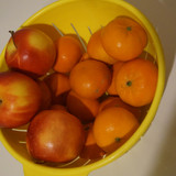 Elma Mandalin V270220260903 N10