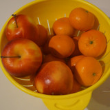 Elma Mandalin V280220260903 N23