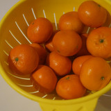 Elma Mandalin V280220260903 N27